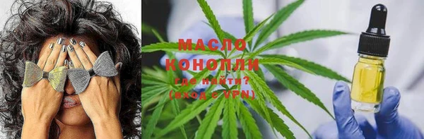 ГАЛЛЮЦИНОГЕННЫЕ ГРИБЫ Гусев