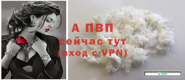 ГАЛЛЮЦИНОГЕННЫЕ ГРИБЫ Гусев