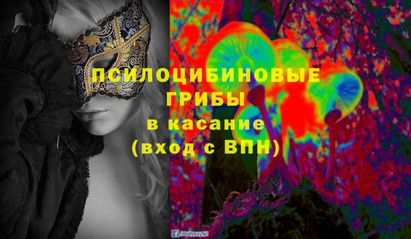 ГАЛЛЮЦИНОГЕННЫЕ ГРИБЫ Гусев