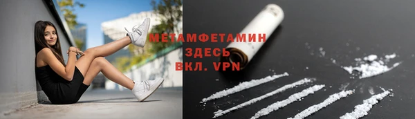 ГАЛЛЮЦИНОГЕННЫЕ ГРИБЫ Гусев
