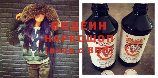 ГАЛЛЮЦИНОГЕННЫЕ ГРИБЫ Гусев