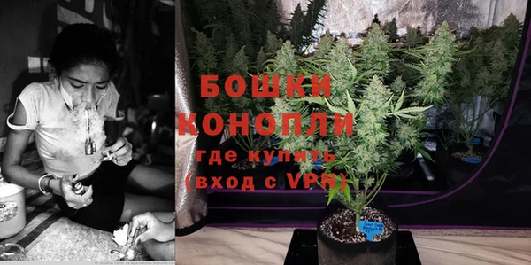 не бодяженный Горно-Алтайск