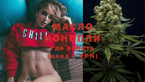 крисы Горняк