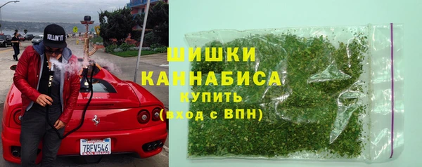 ГАЛЛЮЦИНОГЕННЫЕ ГРИБЫ Гусев